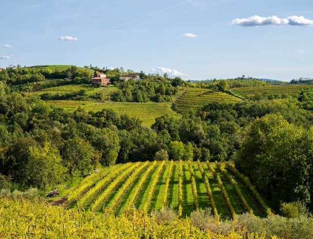 Collio Gorizia.jpg
