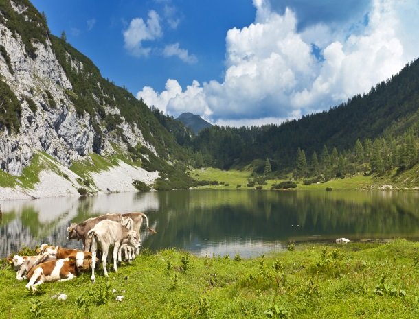 schwarzensee-steiermark.jpg