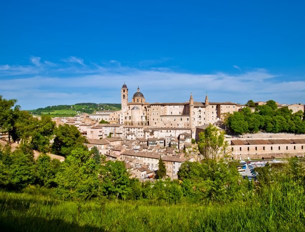 urbino marche.jpg