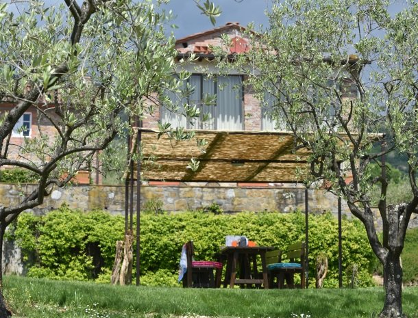 colledibordocheo-lucca-tuin-olijven-zitje.jpg