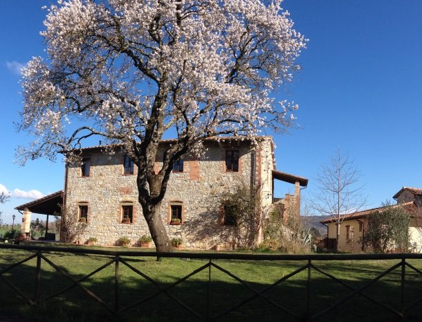 agriturismo gatto giallo montegabbione herfst.jpg