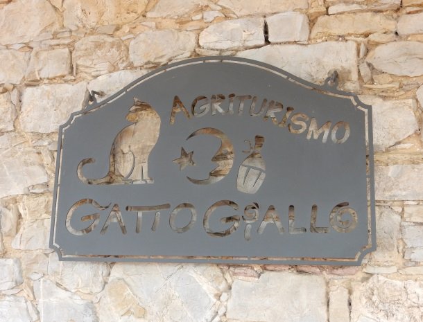 agriturismo gatto giallo montegabbione umbrie.jpg