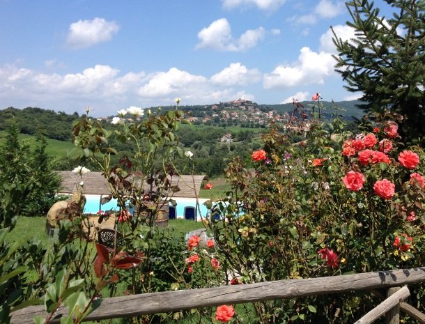 agriturismo gatto giallo montegabbione bloemen uitzicht.jpg
