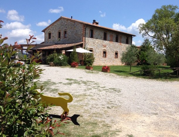 agriturismo gatto giallo montegabbione gele kat.jpg