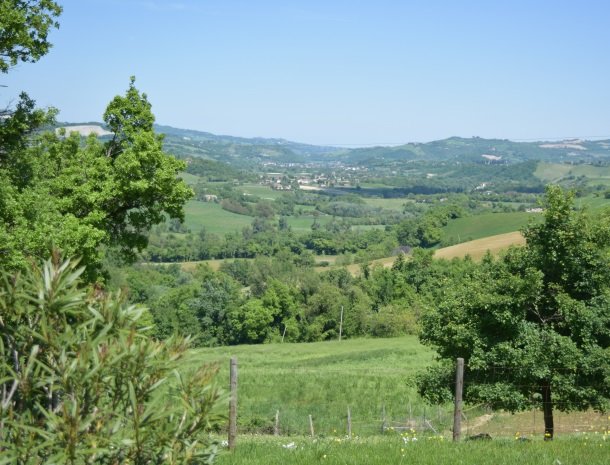 agriturismo alla vecchia quercia-pergola-omgeving.jpg