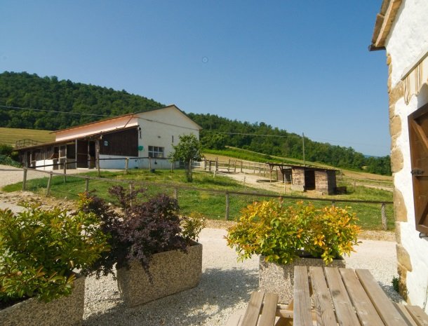 agriturismo alla vecchia quercia-pergola-manege.jpg