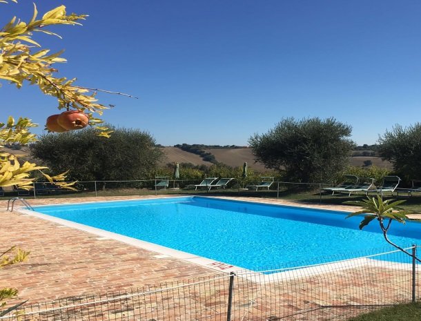 agriturismo-divin-amore-marche-hetzwembad.jpg