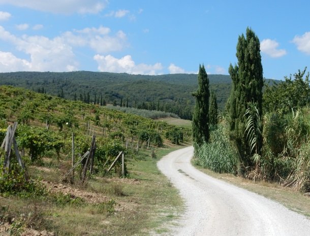 agriturismo-il-casolare-di-bucciano-sangimignano-toegangsweg.jpg