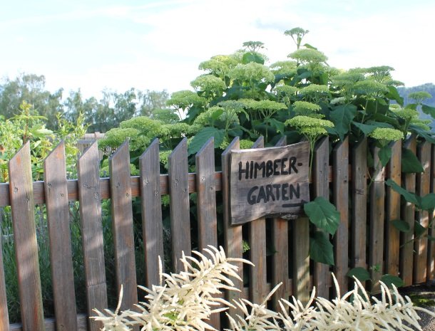 kleinhofers himbeernest-himbeergarten.jpg