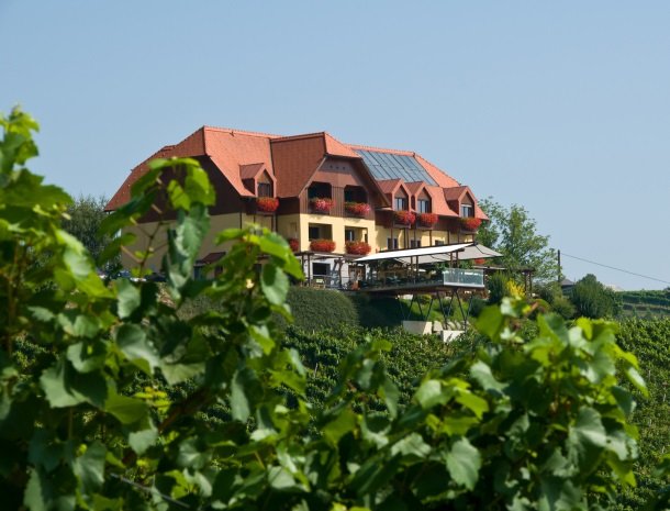 weingut mahorko_steiermark.jpg