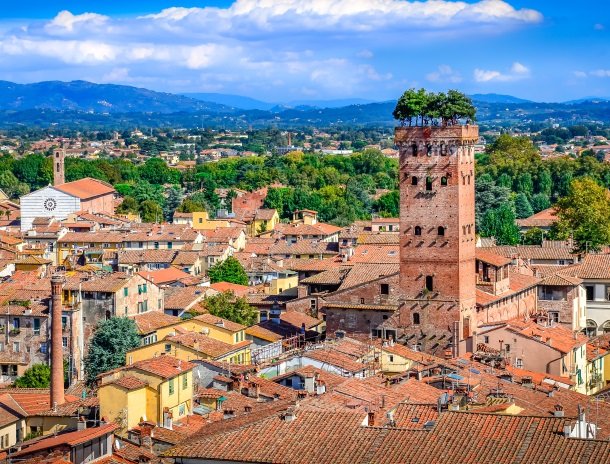 lucca torre dei guinigi.jpg