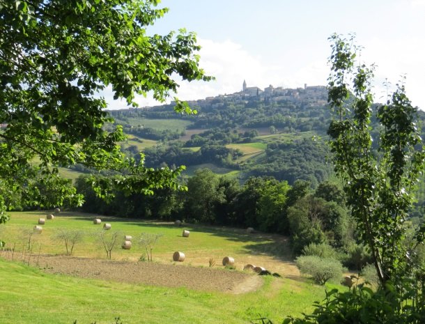 agriturismo casale delle lucrezie-todi-landschap.jpg