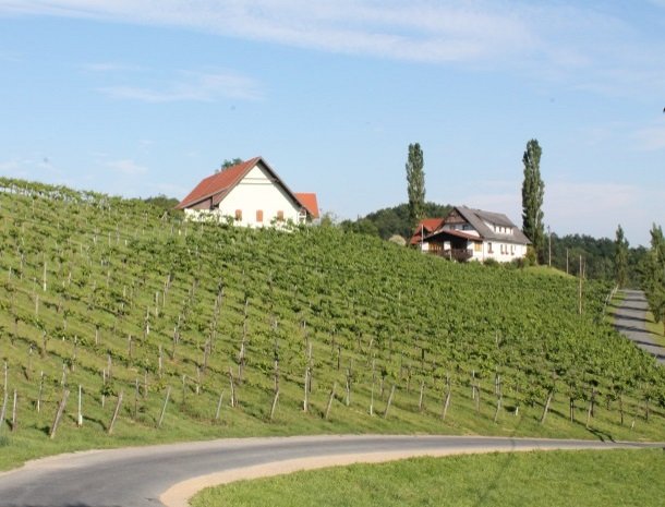 weingut zirngast_uitzichthuis.jpg