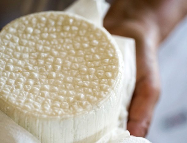 fattoria-marchetti-marche-kaas.jpg