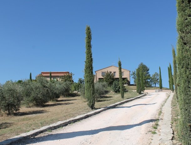 fattoria-marchetti-marche-oprijlaan.jpg