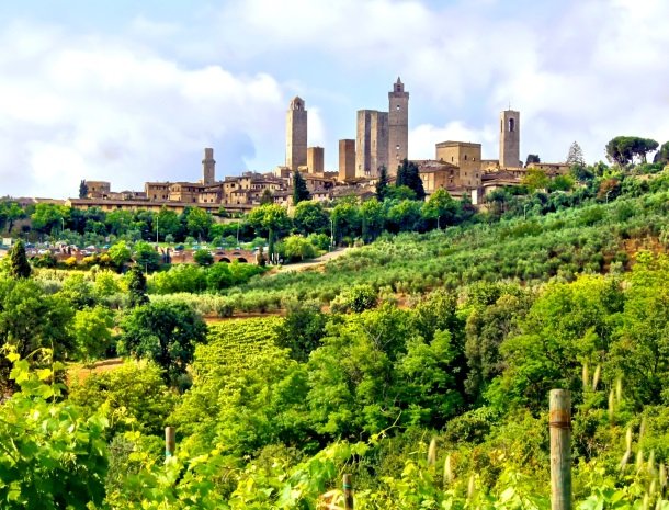 Autorondreis Toscane - Sunna Travel - San Gimignano wijngaarden 