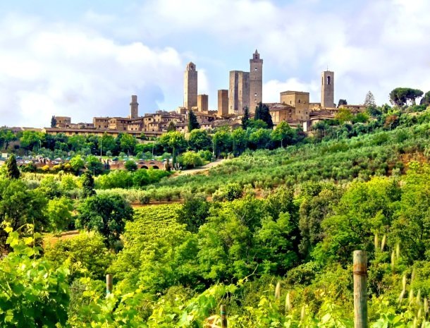 Autorondreis Toscane - Sunna Travel - San Gimignano wijngaarden