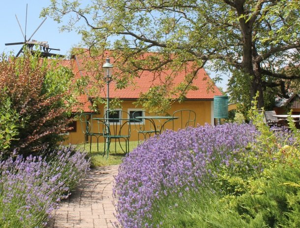 weingut rebenhof.jpg