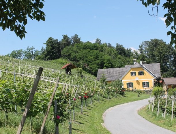 wijnboerderij zuid steiermark.jpg