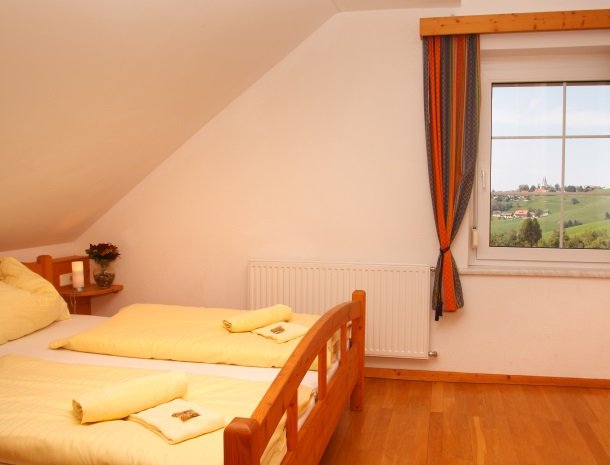 petschnighof-diex-kamer-uitzicht.jpg