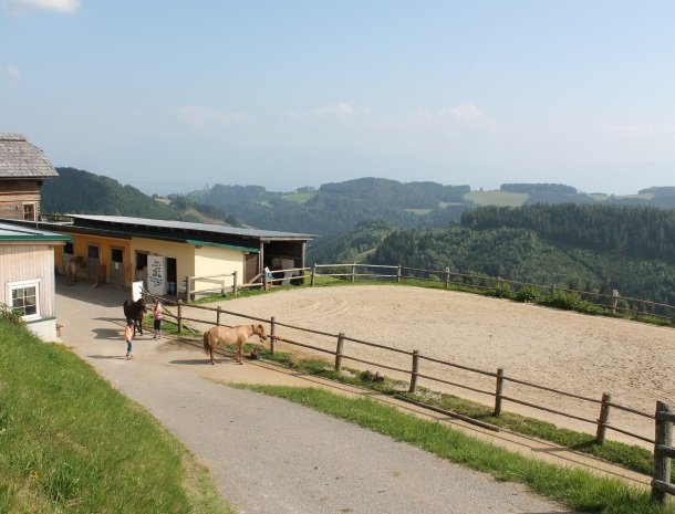 petschnighof-diex-manege.jpg