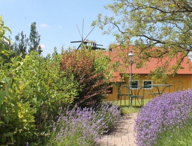 weingut-rebenhof-wijngebied-steiermark-klapotetz.jpg