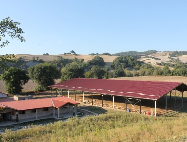 casale-don-dome-marche-manege.jpg