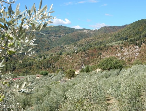 agriturismo-il-giardino-toscane-uitzicht-natuur.jpg