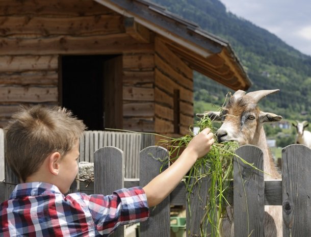 landgut-moserhof-penk-geit.jpg