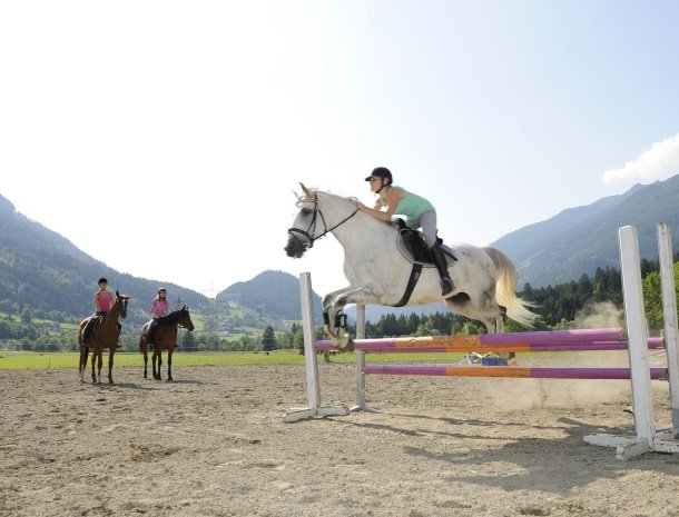 landgut-moserhof-penk-paard.jpg