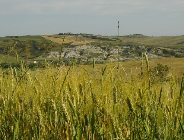 agriturismo-bonello-pienza-crete-senesi.jpg