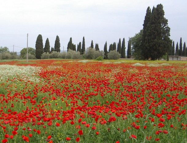 agriturismo-bonello-pienza-klaprozen.jpg