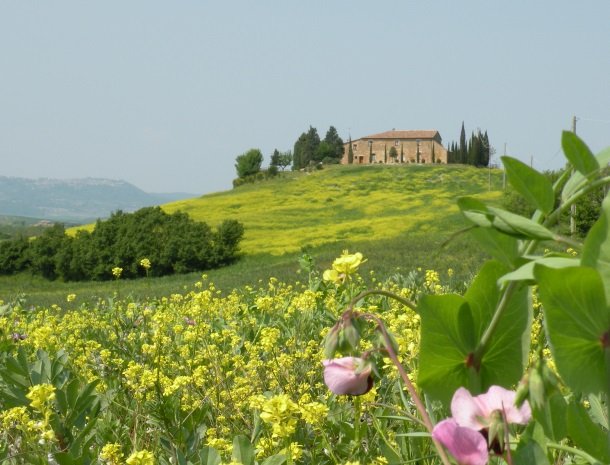 agriturismo-bonello-pienza-toscane.jpg