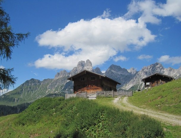 hotel das waldheim-hut.jpg