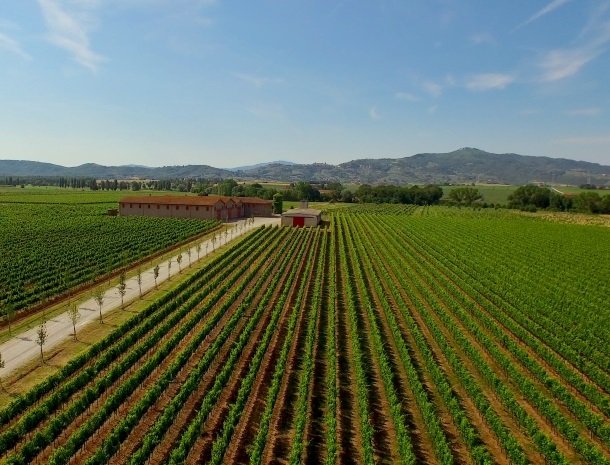 tenuta lamborghini-wijnvelden.jpg