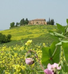 agriturismo-bonello-appartementen.jpg