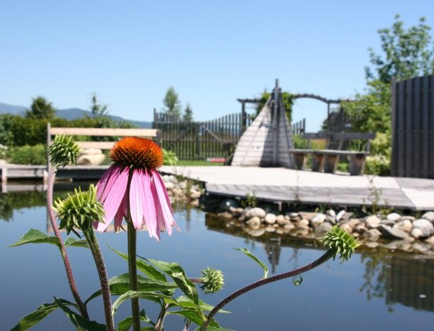 zirbenland-steiermark-bloem.jpg