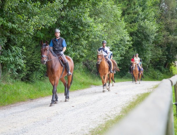 ponyhof-ratten-paardrijtocht.jpg