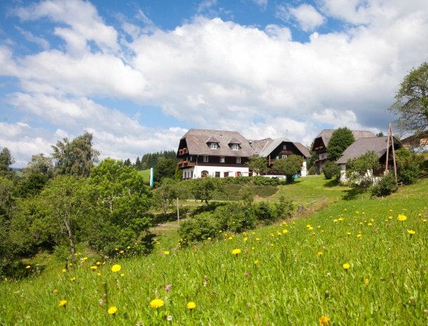 ponyhof-ratten-overzicht-zomer-weiland.jpg