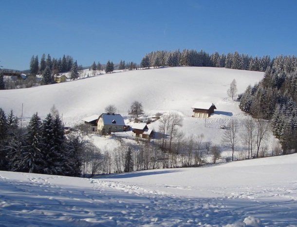 ponyhof-ratten-winter-overzicht.jpg