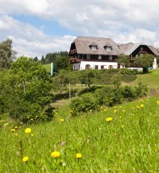 ponyhof-familienhotel-steiermark.jpg