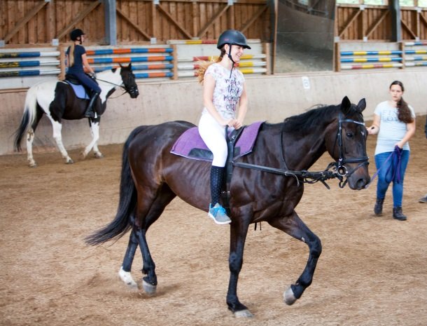 ponyhof-ratten-paardrijles.jpg