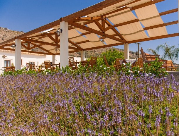 agriturismo-cavagrande-avola-terras-lavendel.jpg