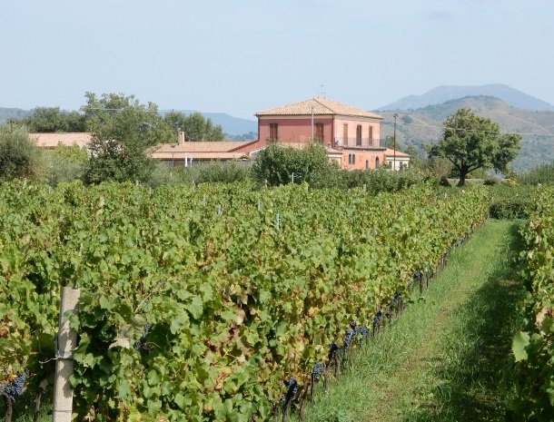 tenuta scilio linguaglossa etna wijngaarden.jpg