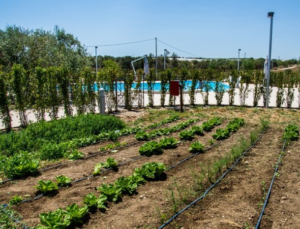 agriturismo le zagare di vendicari moestuin.jpg