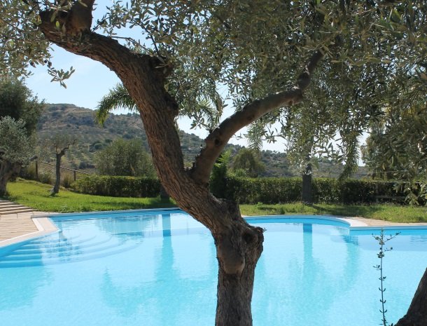 residence-la-luna-nel-pozzo-sciacca-olijfboom-zwembad.jpg