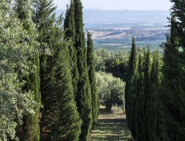 agriturismo-fontana-cherubino-landschap.jpg