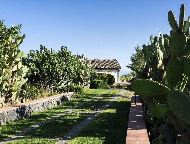 agriturismo-fontana-cherubino--kamers-cactusssen.jpg