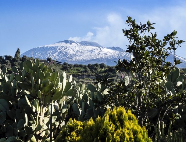 agriturismo-fontana-cherubino-etna.jpg