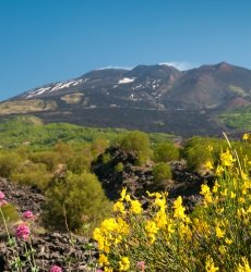 etna-sicilie.jpg